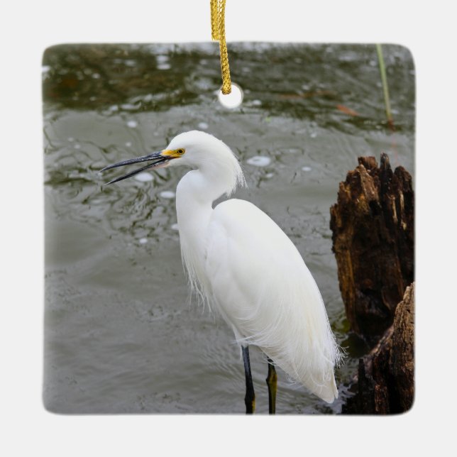 Florida's Singing Egret Julgransprydnad Keramik (Framsida)