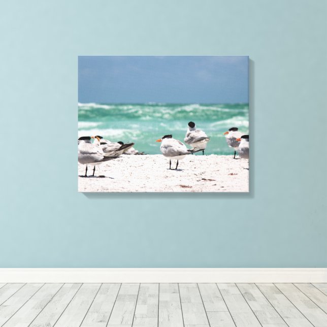 Floridas tärnor på vit sandig Floridastrand Canvastryck (Insitu (trägolv))