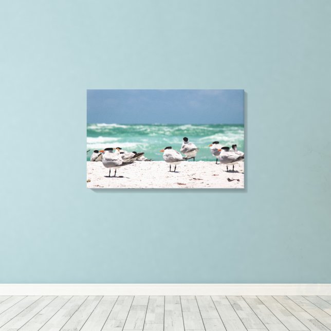 Floridas tärnor på vit sandig Floridastrand Canvastryck (Insitu (trägolv))
