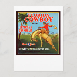 Floriday Cowboy Vykort