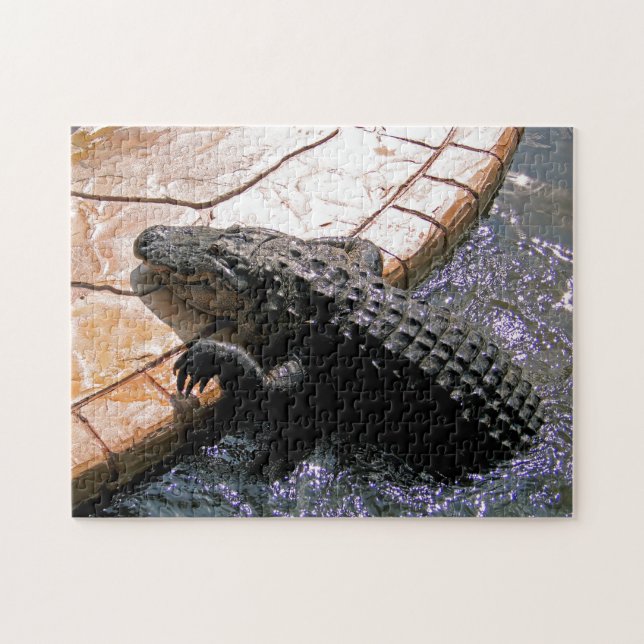 Floridian Alligator, Jigszawa Puzzle Pussel (Horisontell)