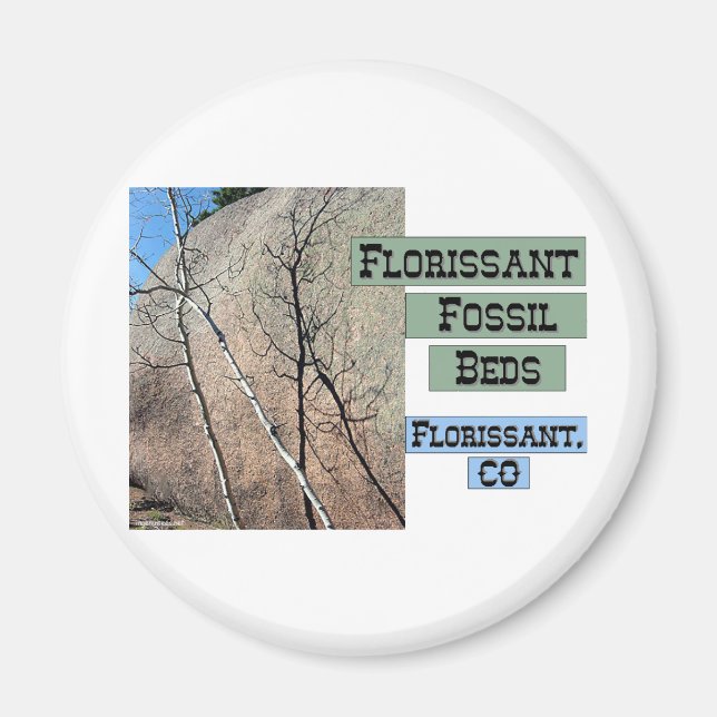 Florisont Fossil Beds Magnet (Framsidan)