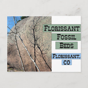 Florisont Fossil Beds Vykort