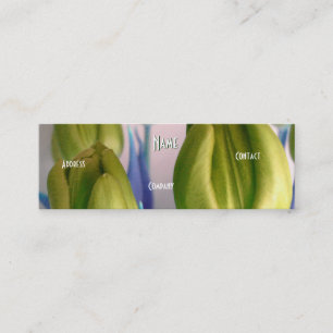 Florist - Grönt Rosey Tulips Mini Visitkort