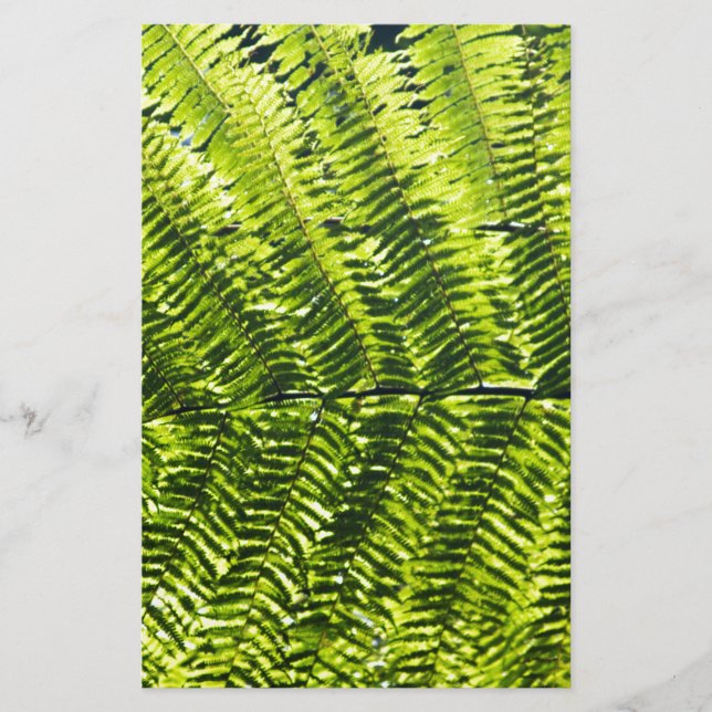 Floror Dominica 5 (Framsida)