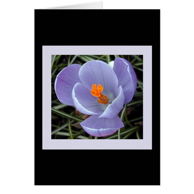 floror för våren #2 hälsningskort (Framsidan)