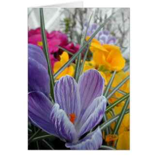 floror för våren #3 hälsningskort