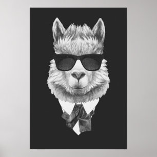 Flott Llama Poster