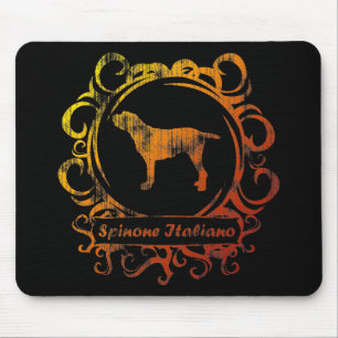 Flott red ut Spinone Italiano Musmatta