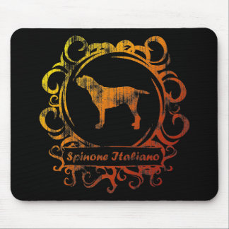 Flott red ut Spinone Italiano Musmatta