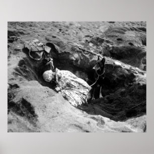 Flotta och hans hund poster