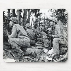 Flottor för WWII US på Peleliu Musmatta
