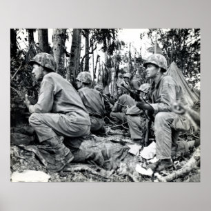 Flottor för WWII US på Peleliu Poster