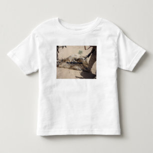 Flottor Tee Shirt