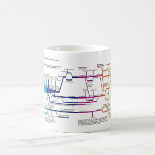 Flow Chart USA American Criminal Justice System Kaffemugg