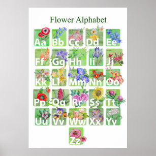 Flower Alphabet Poster