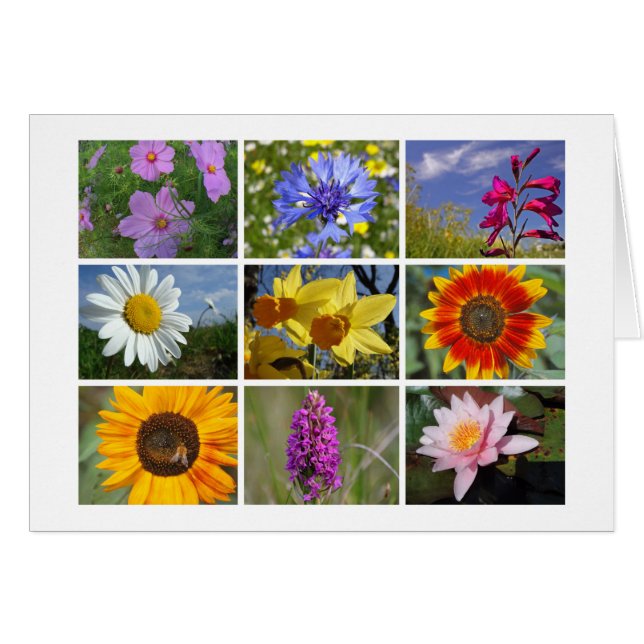 Flower-älskare-betalkort Hälsningskort (Framsidan Horizontal)