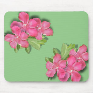 Flower Art on Musmatta