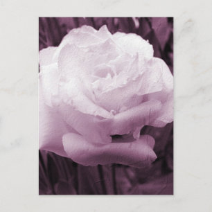 Flower Art Vykort