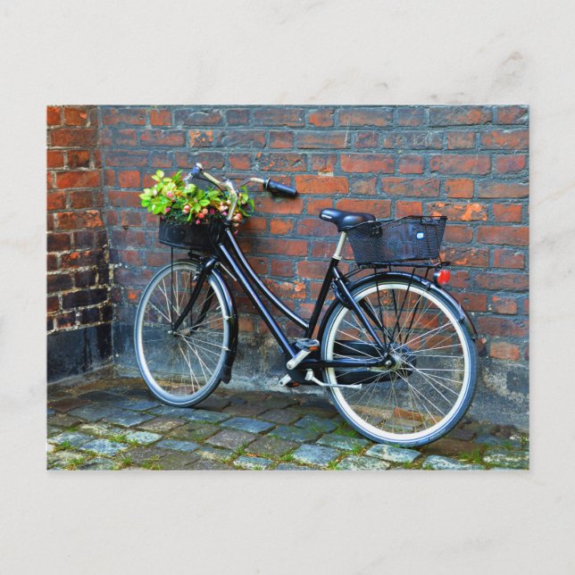 Flower Basket Bicycle, Köpenhamn, Danmark Vykort (Framsida)