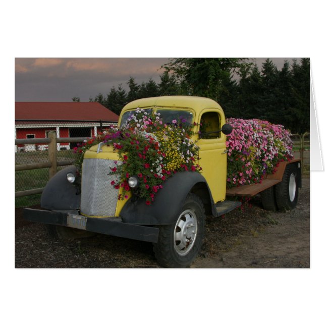 Flower Bed Hälsningskort (Framsidan Horizontal)