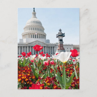Flower bed i vårtid i Washington, D.C. Vykort