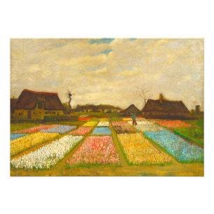 Flower Beds in Holland av van Gogh Fototryck