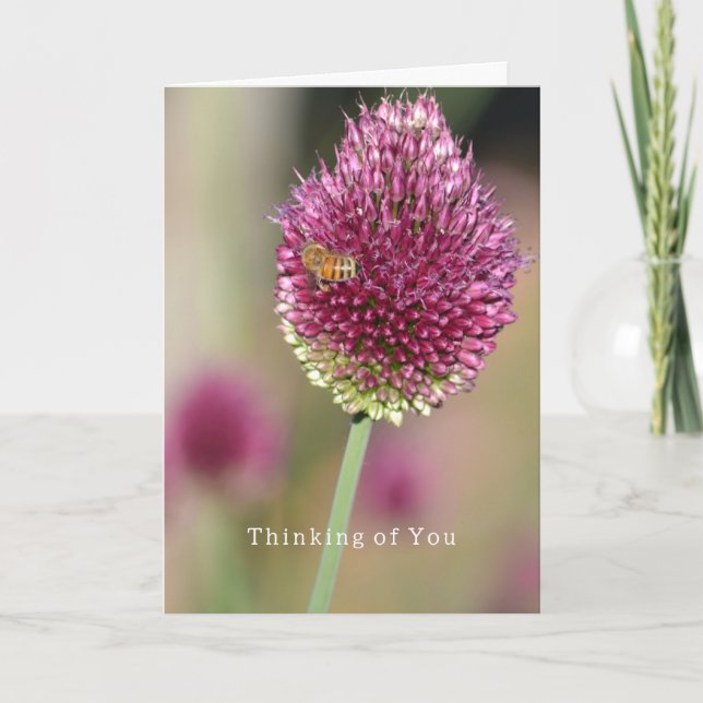 Flower Bee Thinking of You (photography by me) Kort (Framsida)