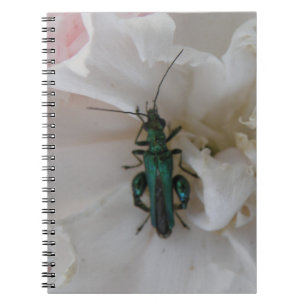 Flower Beetle - bärbar dator Anteckningsbok