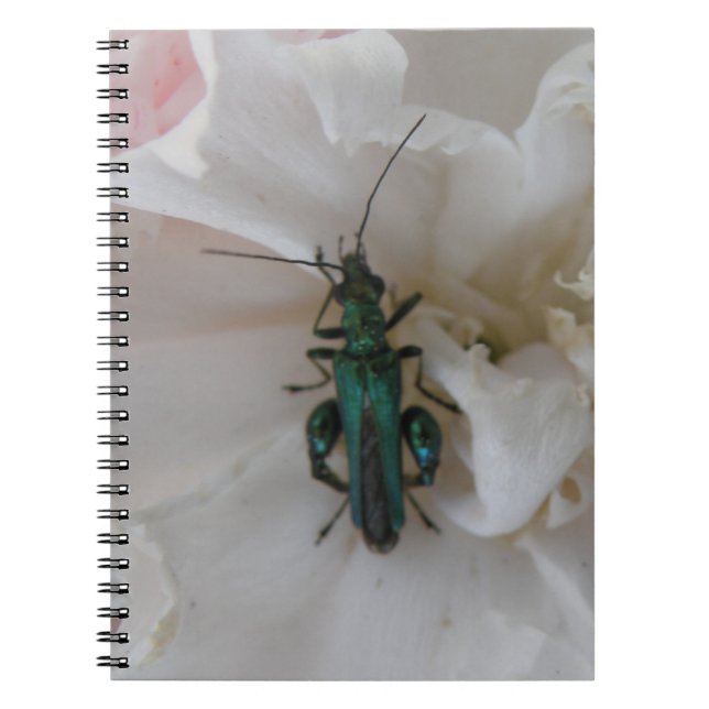 Flower Beetle - bärbar dator Anteckningsbok (Framsidan)