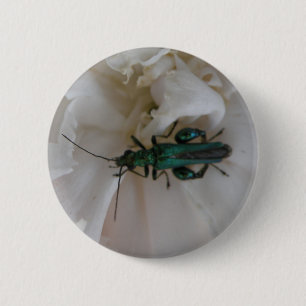 Flower Beetle-knapp Knapp