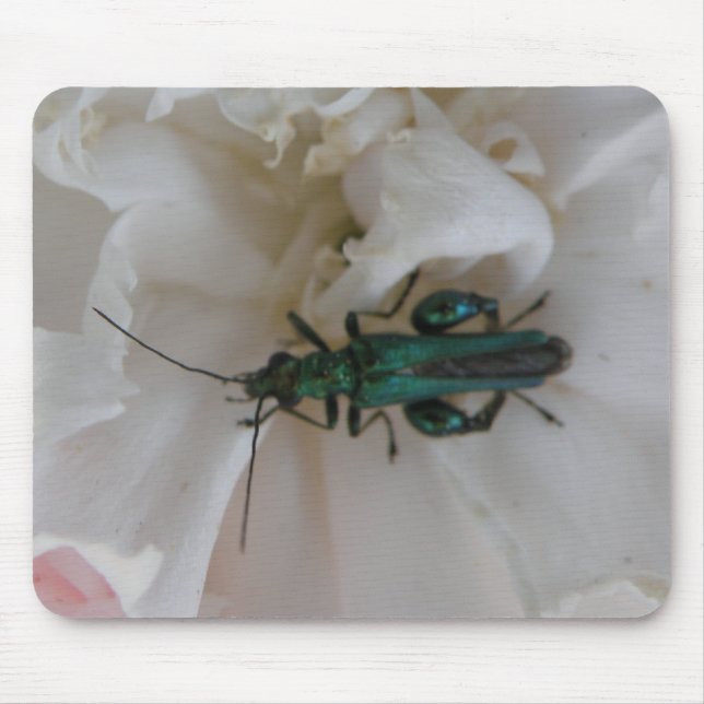 Flower Beetle Mousepad Musmatta (Framsidan)