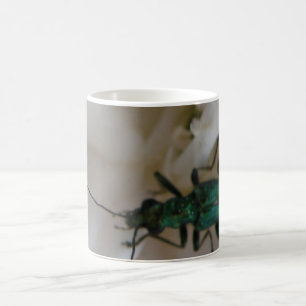 Flower Beetle Mugg