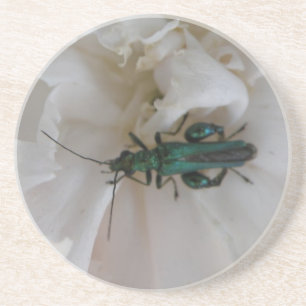 Flower Beetle Underlägg Sandsten