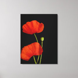 Flower bild
