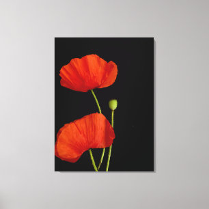 Flower bild