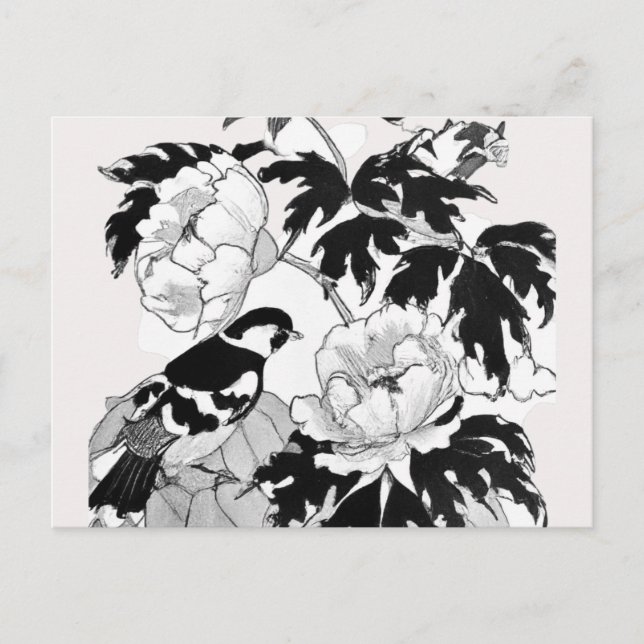 Flower Bird Black and White Postcard Vykort (Framsida)