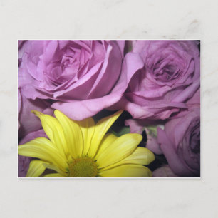 Flower Blommar Daisy Ro Kärlek Destiny Vykort
