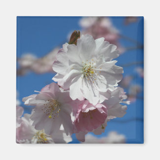 Flower blommar magnet