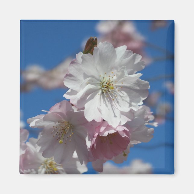 Flower blommar magnet (Framsidan)