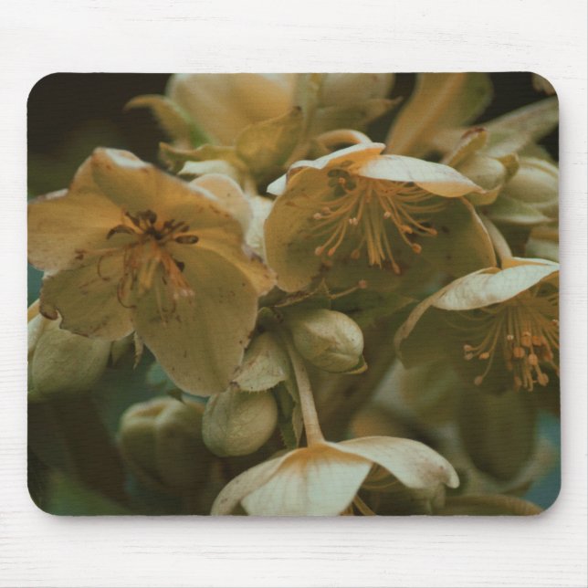 Flower blommigt Mousepad Musmatta (Framsidan)