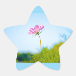 flower bloom stjärnformat klistermärke