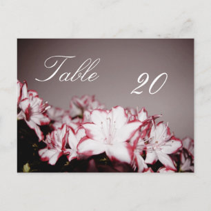 Flower Bordsnummer Postcard