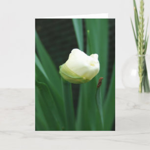 Flower Bud Kort