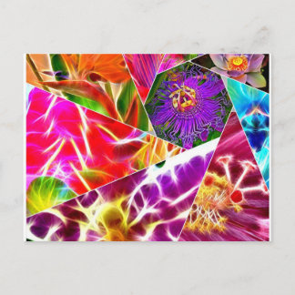 Flower Burst Vykort
