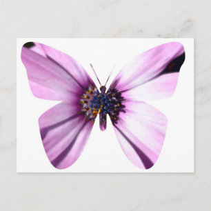 Flower Butterfly Vykort