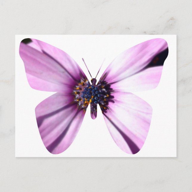 Flower Butterfly Vykort (Framsida)