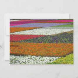 Flower Carpet Julkort