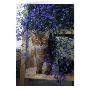 Flower Cat Hälsningskort