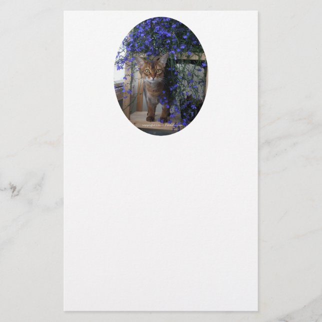 Flower Cat Oval (Framsida)